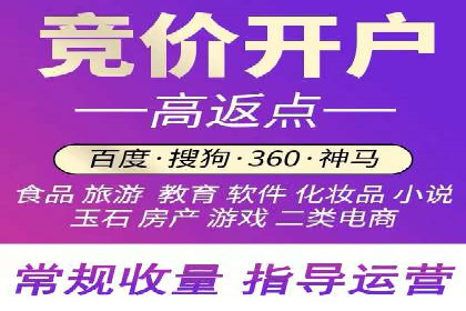 百度SEO推广公司案例分析：成功案例解析